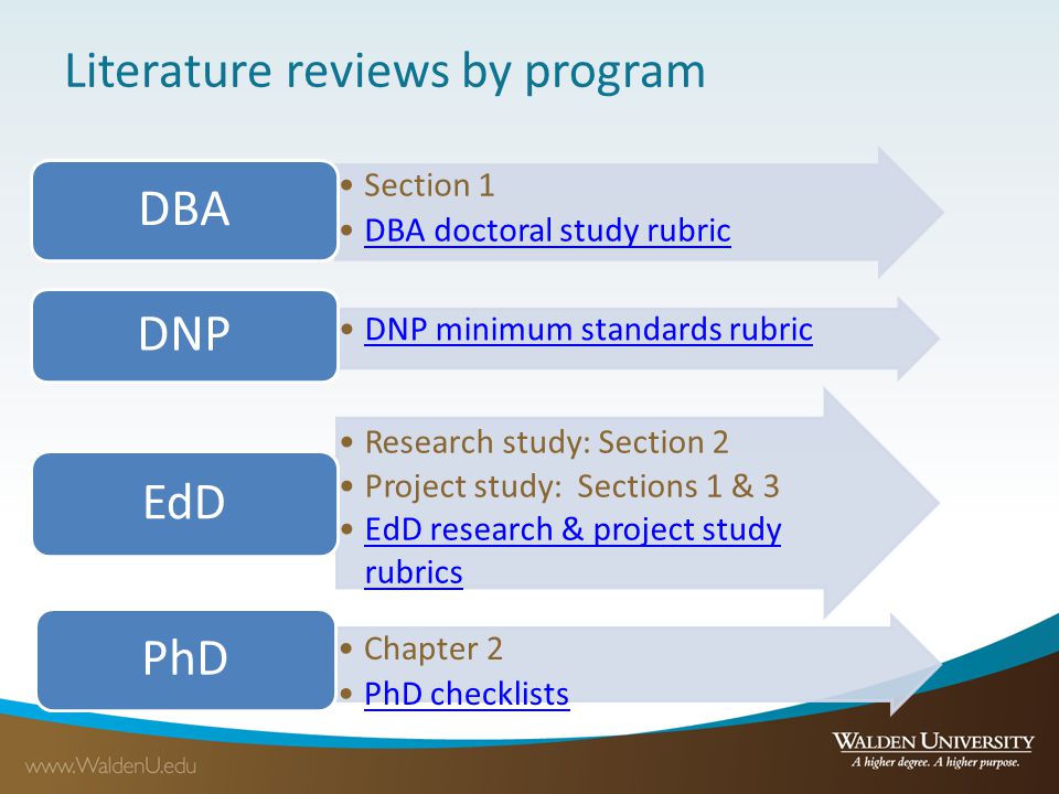 Disadvantages of literature review in a research project